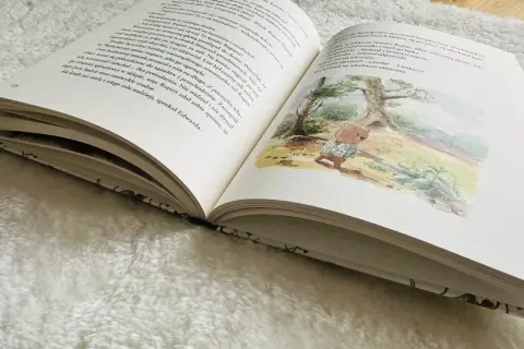 Miś Rupert, bohater książki o śnie, spaceruje po lesie. Zaczepia włochacza, ale ten go ignoruje. Miś jest smutny, ale spotyka Edwarda.