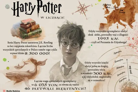 Harry Potter ciekawostki: stos książek, wąż z 1995 km, wieża 300 km, waga 6035 ton (46 płetwali).